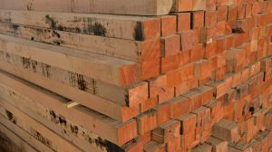 Rectangular Sal Wood Plank