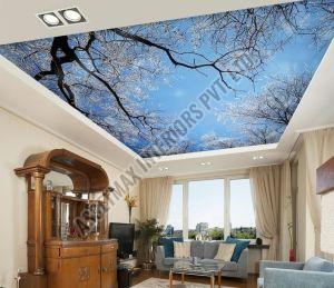 Stretch Ceiling Fitting Service