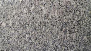 Koliwada Granite Slabs