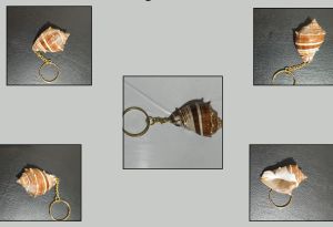 Dark Brown Conch Shell Key Chains
