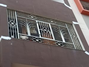 Stainless Steel Balcony Protection Grill