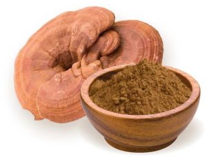Dry Ganoderma Mushroom Powder
