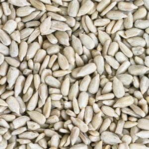 Sunflower Seed