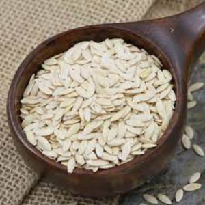 Sunflower Seed