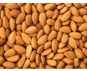 Regular Almond Nuts
