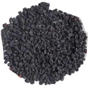 Seedless Black Raisin