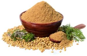 Dehydrated Coriander Powder