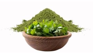 Dried Coriander Leaves Powder