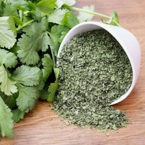 Dehydrated Coriander Leave