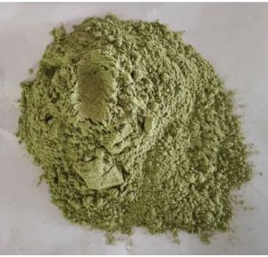Dried Coriander Leaves Powder