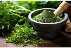 Dried Coriander Leaves Powder