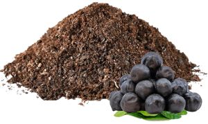 Black Lemon Powder