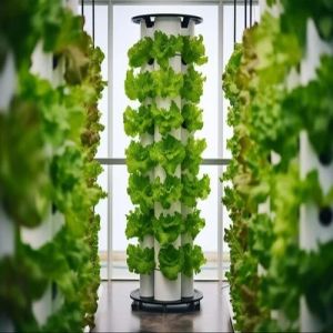 Aeroponic Cultivation Training