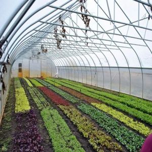 Agri Start Up Training