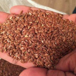 Flax Seeds Contract Farming