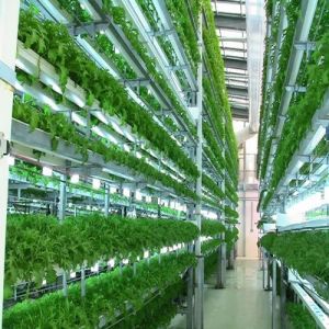 Horticulture Cultivation Training