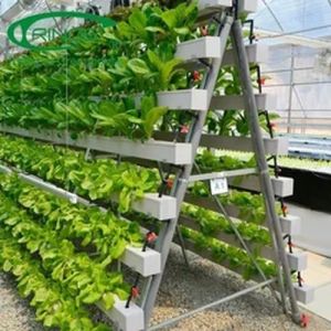 Hydroponic Cultivation Training