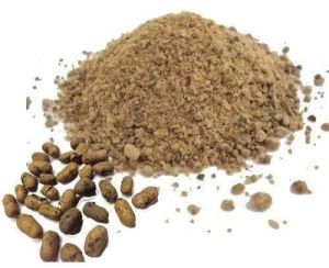 Jamun Seeds Powder
