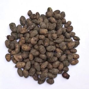 Jamun Seeds