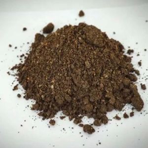 Neem Khali