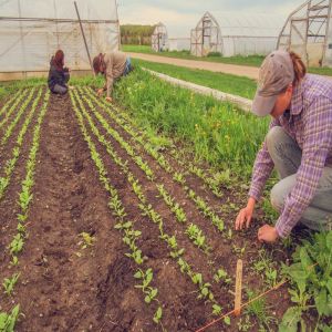 Organic Cultivation Training