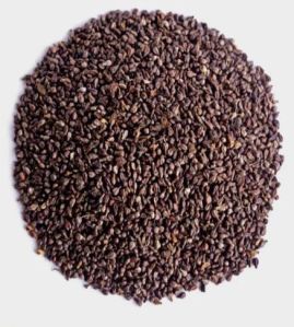 Safed Musli Seeds