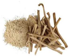 Shatavari Powder