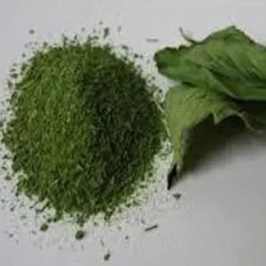 Stevia Powder