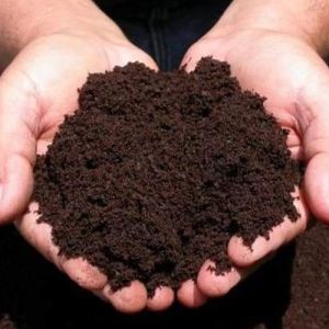 Vermicompost Training