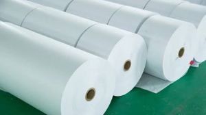55 GSM Thermal Paper Jumbo Roll