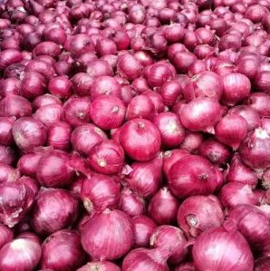 Fresh Red Onion