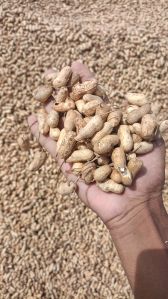 Raw Shelled Peanuts