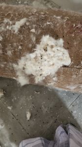 Kapok Silk Cotton Pillow Fibers