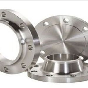Stainless Steel Flanges