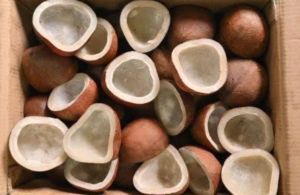 Dried Copra Coconut