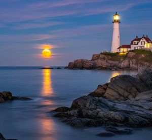 Nature Scenery Digital Wall Art Painting