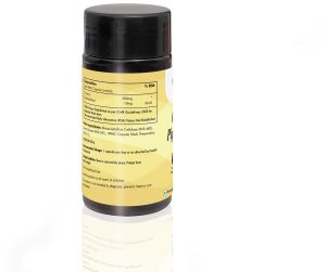 Curcumin and Piperine Capsules