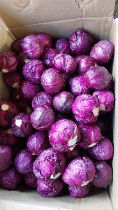 Red Cabbage