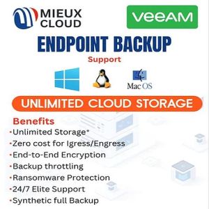 Veeam Endpoint Backup Services