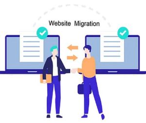 Website Migration Services