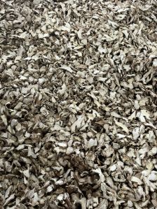 Dried Ginger Flakes