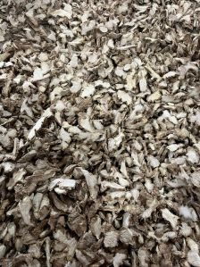 Dried Ginger Flakes