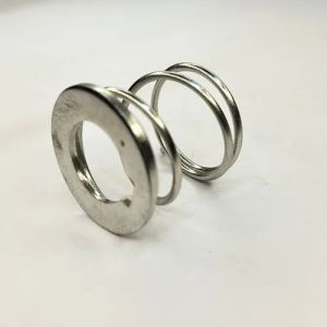 Stainless Steel Valve Springs