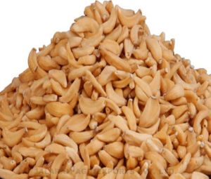 Dehydrated Garlic