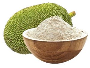 Green Jack Fruit Powder