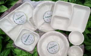 Biodegradable Sugarcane Bagasse Dinner Set