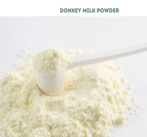 Spray Dried Donkey Milk Powder