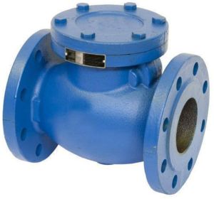 Cast Iron Check Valve
