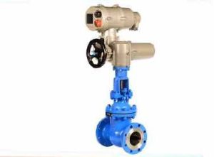 Cast Iron Motoroised Gate Valve
