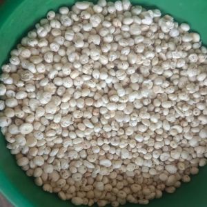 6 Plus Suta Raw Makhana